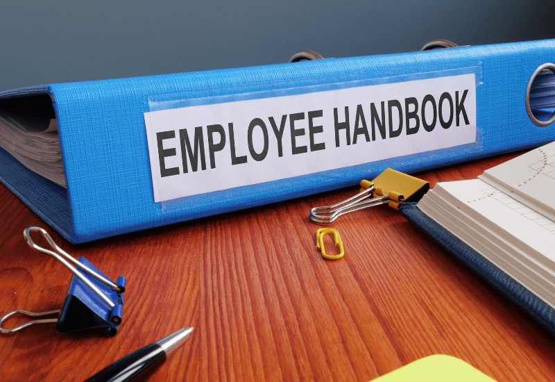 Essential Employment Handbook Must-Haves: Your Comprehensive Guide + Key Update Timelines